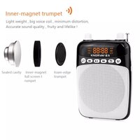 portable wireless Amplifier with microphone