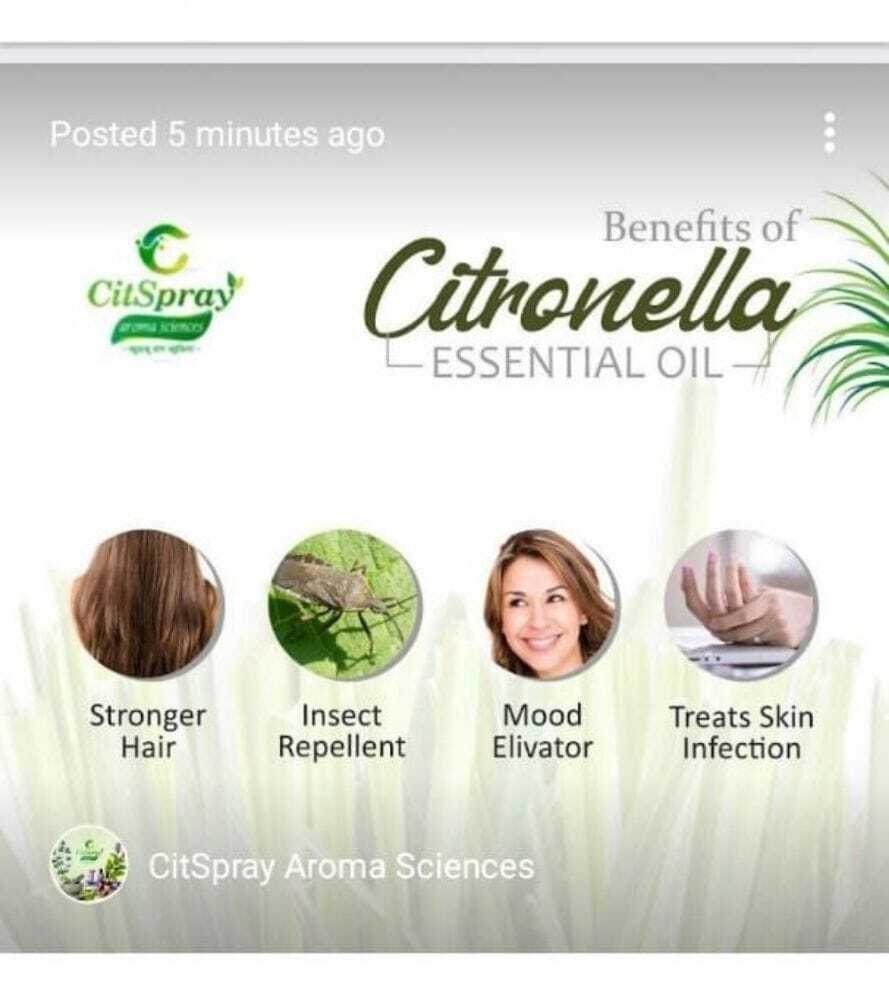 Natural Pure Essential oil