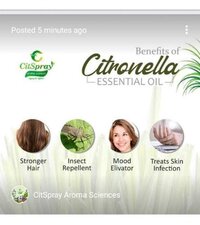 Natural Pure Essential oil