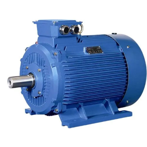 Induction Electric Motor