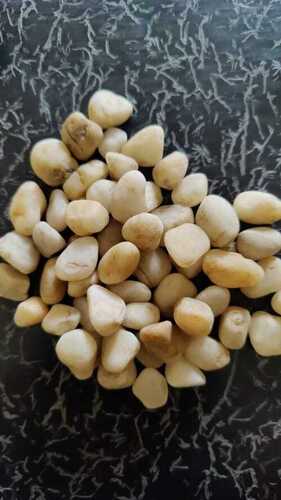 Off white or light yellow Natural stone polished