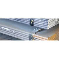 ASTM A 242 Corten Plates