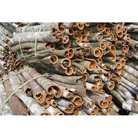 Cinnamon Stick