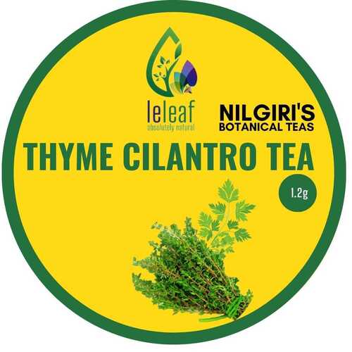 Thyme Cilantro Tea - 1.2 Grams Loose Form | Solid Extract Fresh Taste No Added Sugar Antioxidant-Rich Health Tea