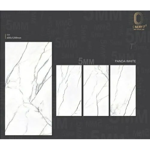 600 x 1200 mm Matt Finish Wall Tiles