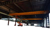 2 Ton to 20 ton EOT Crane