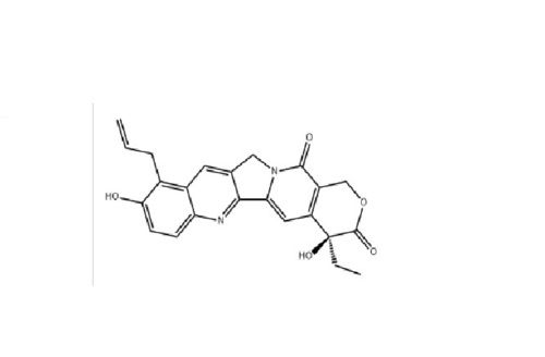 9-Amino Camptothecin