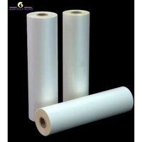 Matt Finish Polyester Film