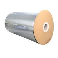 Silver Matte Polyester Film