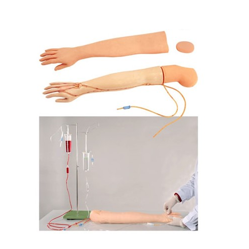 GD HS39 Full - Functional Vein Injection Arm