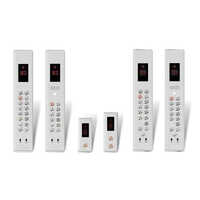 Stainless Steel Plan Type Elevator Lop Cop