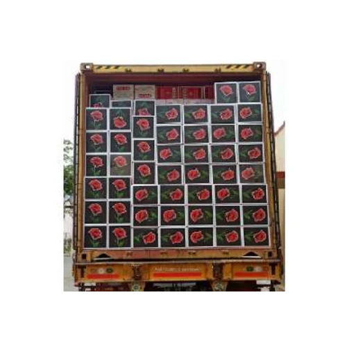 Color Match Boxes