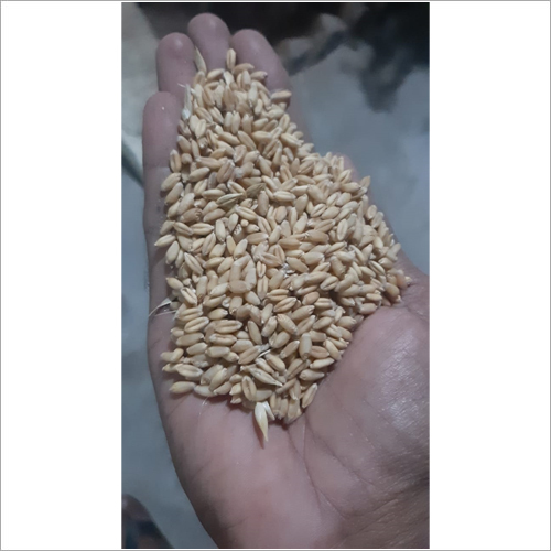Organic Wheat Grade: A