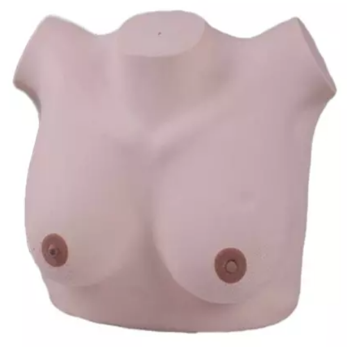 GP-6620  Breast Examination Model