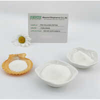 White To Slight Yellow Marine Fish Collagen Tripeptide Makes Your Skin Keep Elasticity