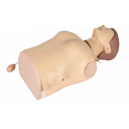 CPR 1900  Half Body CPR Training Manikin with Beep Sound