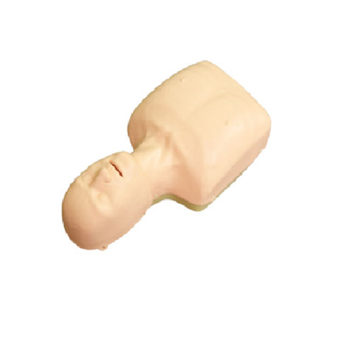 Skin Gd Cpr166  Basic Cpr Manikin