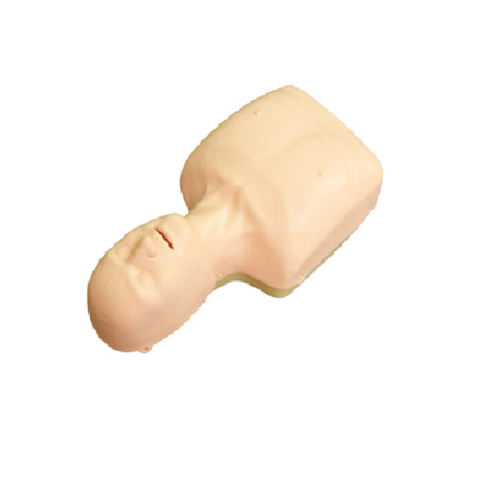 GD CPR166  Basic CPR Manikin