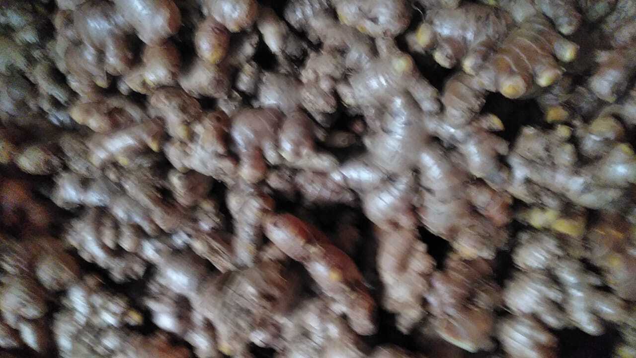 Fresh Ginger from Assam