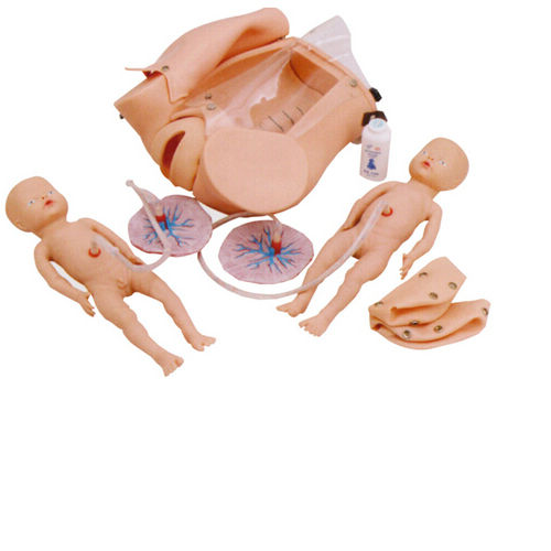 Obstetrics and Gynecology Manikin