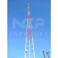 Self Supporting Rf Tower Mast - Application: Telecom Industry