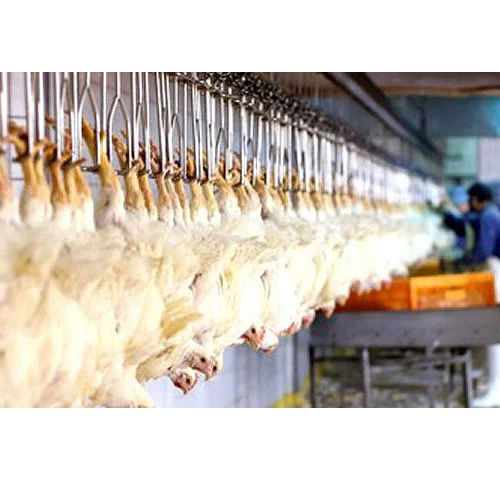 Chicken Processing Plant