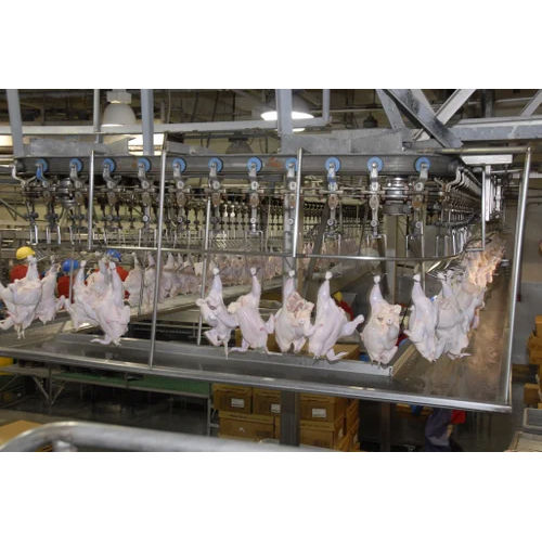 Poultry Meat Processing Plant