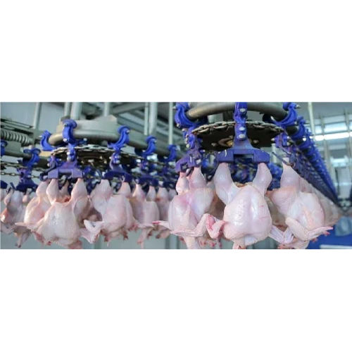 High Efficiency Industrial Chicken Processing Plants