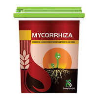 Mycorrhiza Plant Root Growth