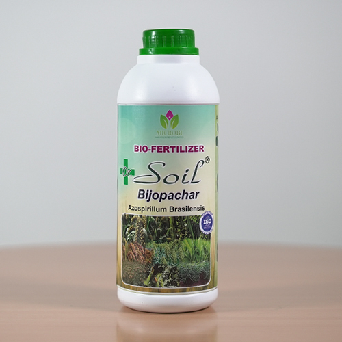 Azospirillum Brasilensis Bio Fertilizer