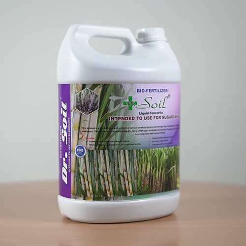 Soil Intended Bio Fertilizer To Use For Sugarcane