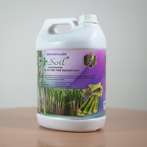 Soil Intended Bio Fertilizer To Use For Sugarcane