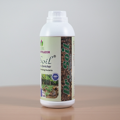 Soil Potash Mobilizing Bacteria Bio Fertilizer