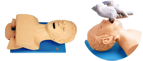 GD/J5S  Airway Intubation Model