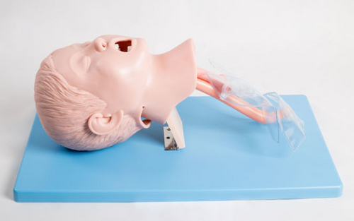 GD/J16  Child Tracheal Intubation Model