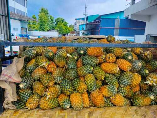 pineapple assam