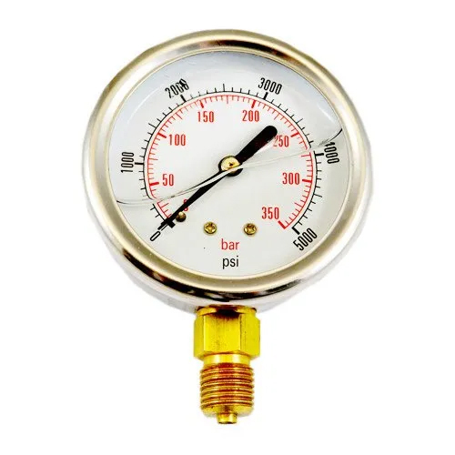 Hydraulic Pressure Gauge