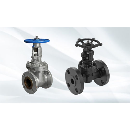 Gray Forged Steel Gate Valve