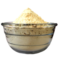 White Freeze Dried Custard Apple Powder