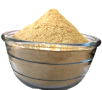 Cream Freeze Dried Chikoo Powder