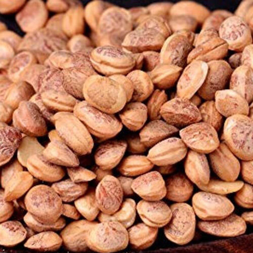 Charoli Chironji Seed