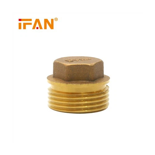 Golden Brass Hex Head Plug