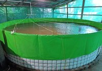 MEGATEX PVC 650 GSM ROUND BIOFLOC FISH FARMING TANK Dai 6 X 1.45 Mtr. 17900