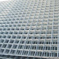 Welded Wire Mesh - Steel Material, Coated Surface Treatment | Durable Steel Wire Mesh Design, Versatile Applications