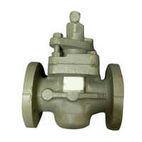 Audco C I Plug Valve
