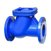 CI Ball Type Foot Valve