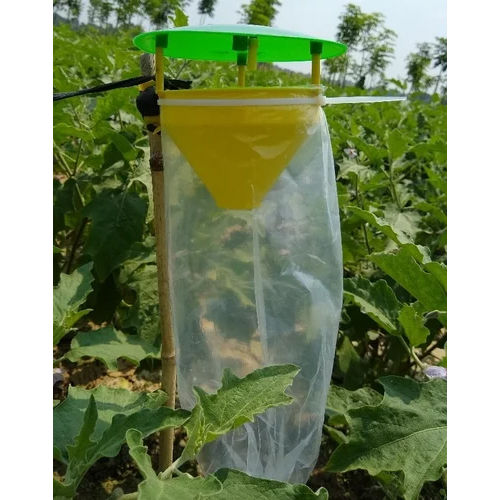 Brinjal Pheromone Trap