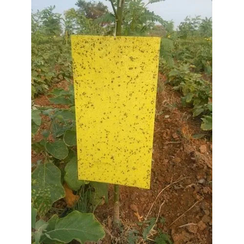 Plastic Yellow Sticky Trap