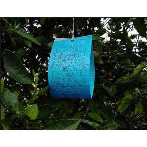 PVC Blue Sticky Trap