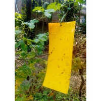Pest Glue Trap Purity(%): 98% 99% 100%